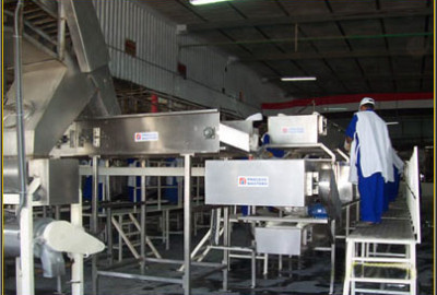 MANGO PULP PROCESSING LINE